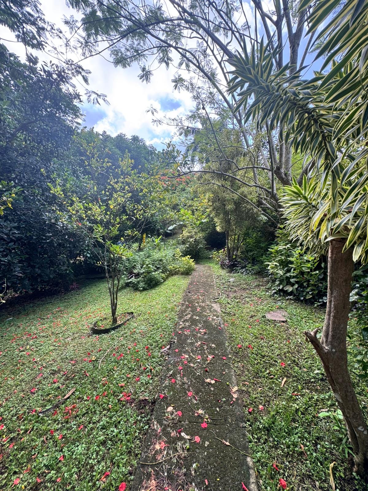 Free Play Wed. 8/13 en La Finca terapia del Múcaro