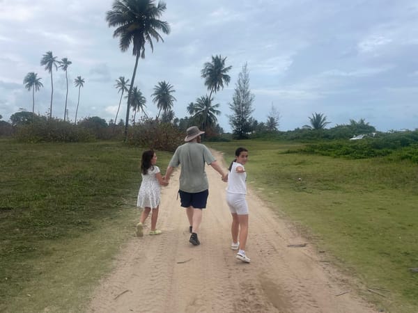 Harmony in the Family Workshop #3 - Our Family Vibe
